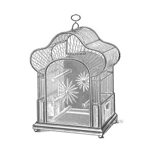 Catalog Illustration - Etchings: Birdcage - Palmate top, daisy detail.