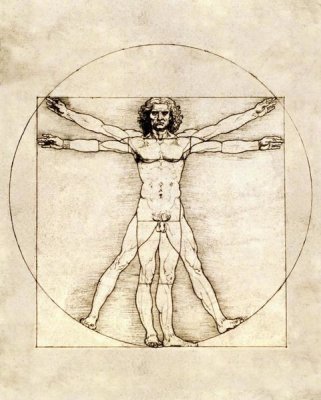 Proportions of the Human Figure (Vitruvian Man)
